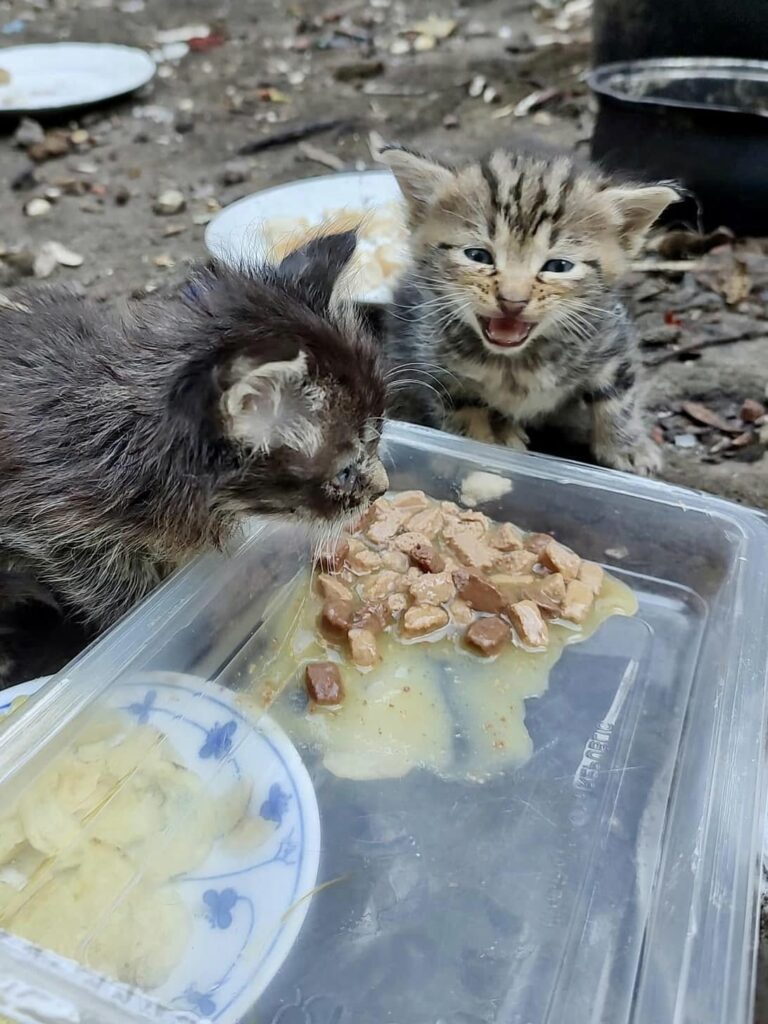 Máme pro vás pár čísel pomoci